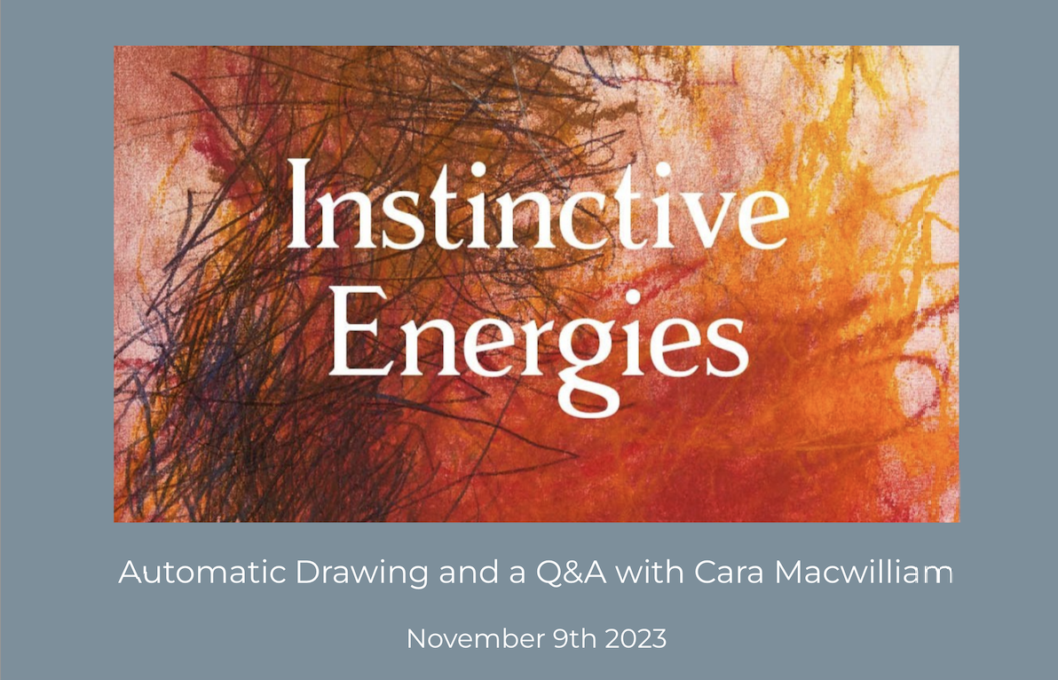 Instinctive Energies talk with Cara Macwilliam